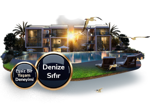 Four Seasons Life III